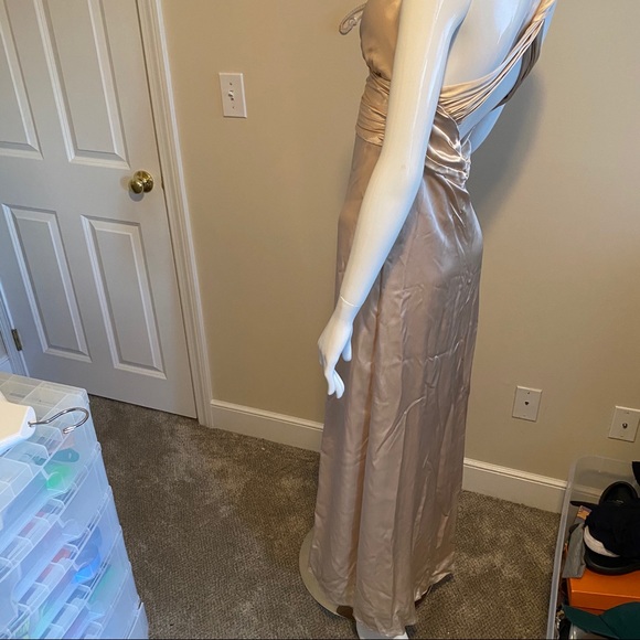 Nicole Miller Champagne Floor Length Dress - Picture 3 of 14